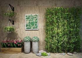 现代绿植墙吊兰盆栽花卉组合3D模型下载 现代绿植墙吊兰盆栽花卉组合3D模型下载