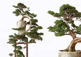 中式盆栽3D模型下载 中式盆栽3D模型下载