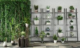 现代绿植盆栽墙饰组合3D模型下载 现代绿植盆栽墙饰组合3D模型下载