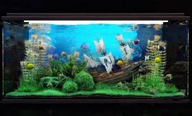 现代水族鱼缸3D模型下载 现代水族鱼缸3D模型下载