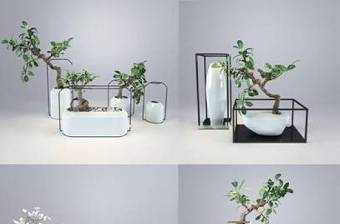 新中式绿植花卉组合3D模型下载 新中式绿植花卉组合3D模型下载
