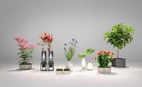 现代植物盆栽花卉组合3D模型下载 现代植物盆栽花卉组合3D模型下载