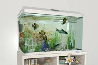 现代生态水族箱鱼缸3D模型下载 现代生态水族箱鱼缸3D模型下载