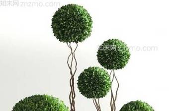 现代圆形绿植盆栽3D模型下载 现代圆形绿植盆栽3D模型下载