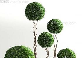现代圆形绿植盆栽3D模型下载 现代圆形绿植盆栽3D模型下载