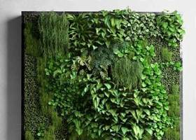 绿化墙 3D模型下载 绿化墙 3D模型下载