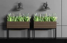 现代虎尾兰绿植盆栽壁灯组合3D模型下载 现代虎尾兰绿植盆栽壁灯组合3D模型下载