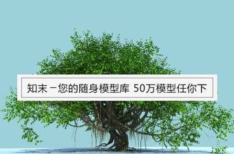 榕树3D模型 (7)下载 榕树3D模型 (7)下载