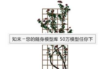 藤蔓3d模型下载下载 藤蔓3d模型下载下载