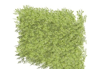 精品免费室内装饰植物墙SU模型下载 精品免费室内装饰植物墙SU模型下载