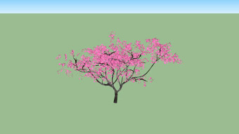 桃树 其他 植物 花 画 SU模型下载 桃树 其他 植物 花 画 SU模型下载