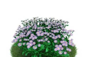 紫色草坪3D模型下载 紫色草坪3D模型下载