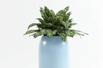 蓝色圆柱形陶艺花瓶3D模型下载 蓝色圆柱形陶艺花瓶3D模型下载