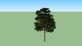 现实树木低波利 植物 其他 湖 天空 草地 SU模型下载 现实树木低波利 植物 其他 湖 天空 草地 SU模型下载