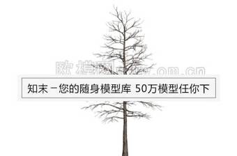 枯树3d模型下载 (2)下载 枯树3d模型下载 (2)下载