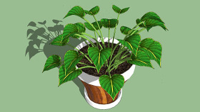 室内植物 植物 花盆 其他 画 花瓶 SU模型下载 室内植物 植物 花盆 其他 画 花瓶 SU模型下载