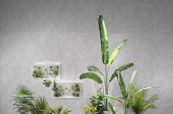 现代苏铁绿植盆栽组合3D模型下载 现代苏铁绿植盆栽组合3D模型下载