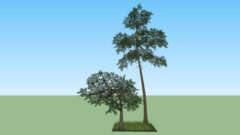海洋松树（草补丁） 湖 植物 其他 天空 画 SU模型下载 海洋松树（草补丁） 湖 植物 其他 天空 画 SU模型下载