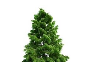 绿色树3D模型下载 绿色树3D模型下载