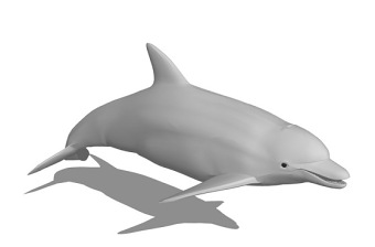 海豚SU模型下载 海豚SU模型下载