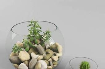 现代盆栽植物摆设品花卉盆栽植物 植物 摆设品 盆栽 现代3D模型下载 现代盆栽植物摆设品花卉盆栽植物 植物 摆设品 盆栽 现代3D模型下载