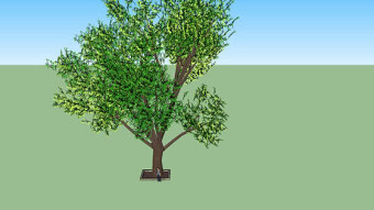大树 植物 其他 草地 画 湖 SU模型下载 大树 植物 其他 草地 画 湖 SU模型下载
