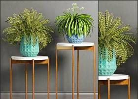 现代陶瓷盆栽花架组合3D模型下载 现代陶瓷盆栽花架组合3D模型下载