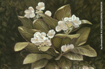 欧式复古花朵静物画图片