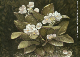 欧式复古花朵静物画图片