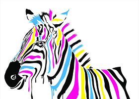 彩色绘画动物斑马图片