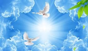 蓝天白云海鸥图片