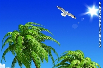 海景椰子树玄关背景图片
