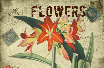 古典花卉装饰画图片