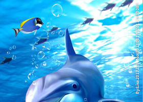 儿童玄关屏风海洋海豚鱼背景底纹图片