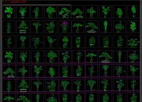 原创2019最新室外植物立面图CAD模板